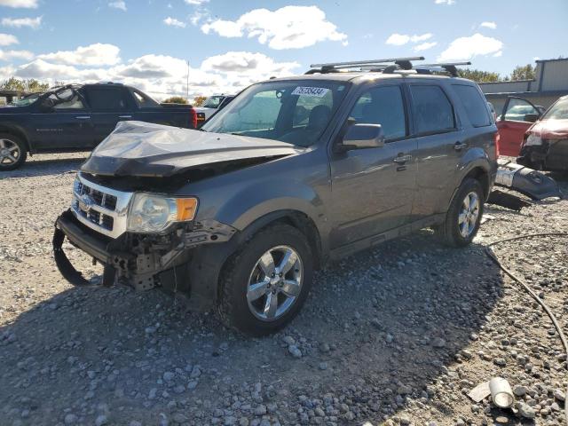 FORD ESCAPE LIM 2009 with VIN 1FMCU94G39KD13201 - Photo from auction