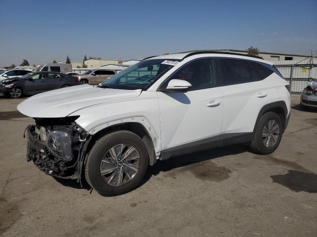HYUNDAI TUCSON BLU 2022 with VIN KM8JBCA19NU063424 - Photo from auction