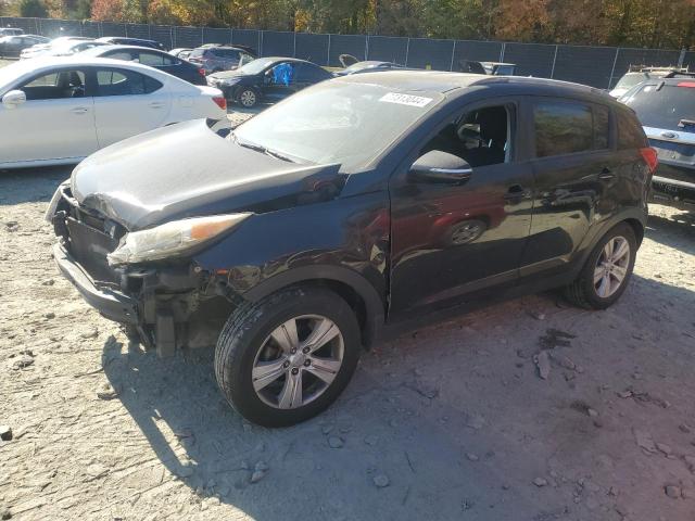 KIA SPORTAGE L 2011 with VIN KNDPB3A24B7042238 - Photo from auction