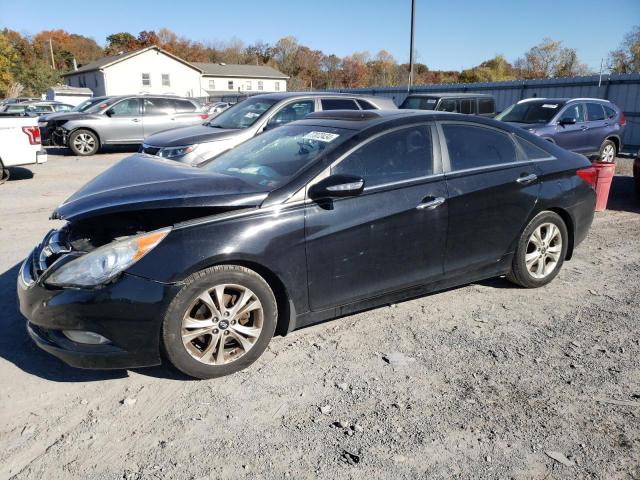 HYUNDAI SONATA SE 2011 with VIN 5NPEC4AB4BH298790 - Photo from auction