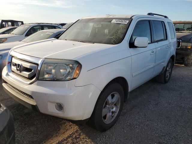 HONDA PILOT EXL 2009 with VIN 5FNYF38679B028422 - Photo from auction
