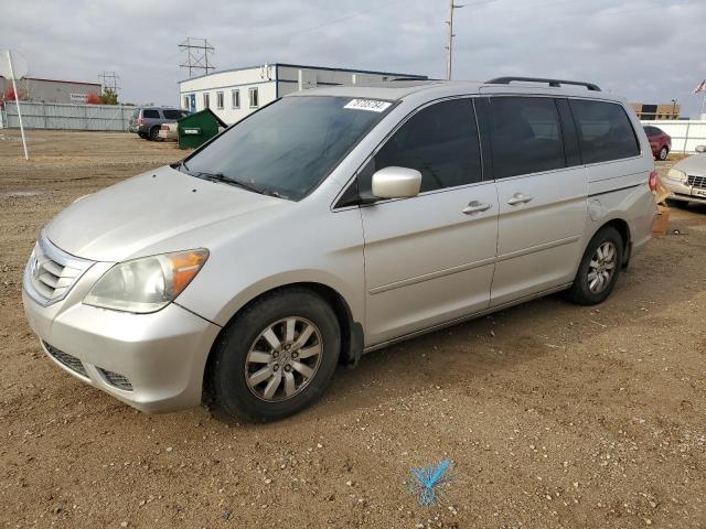 HONDA ODYSSEY EX 2008 with VIN 5FNRL38778B070769 - Photo from auction