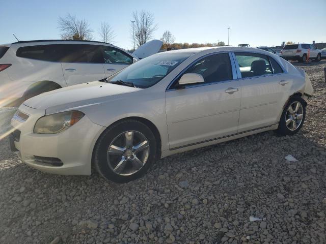 CHEVROLET MALIBU 1LT 2011 with VIN 1G1ZC5E18BF237714 - Photo from auction
