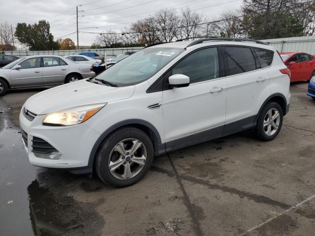 FORD ESCAPE SE 2013 with VIN 1FMCU0GX5DUB07396 - Photo from auction