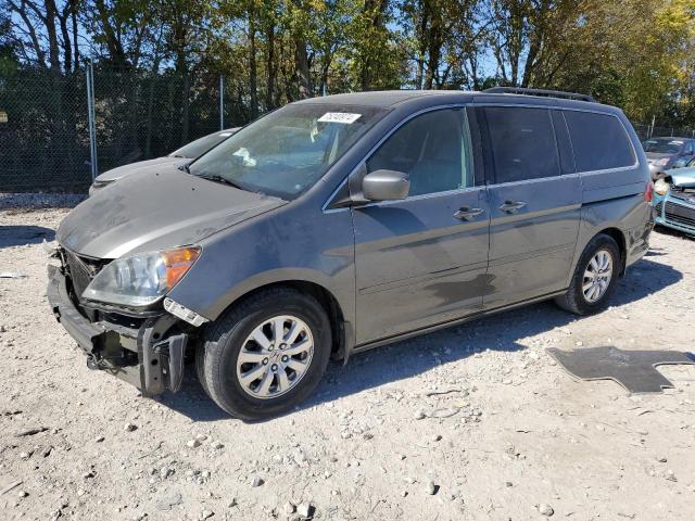 HONDA ODYSSEY EX 2008 with VIN 5FNRL38688B018428 - Photo from auction
