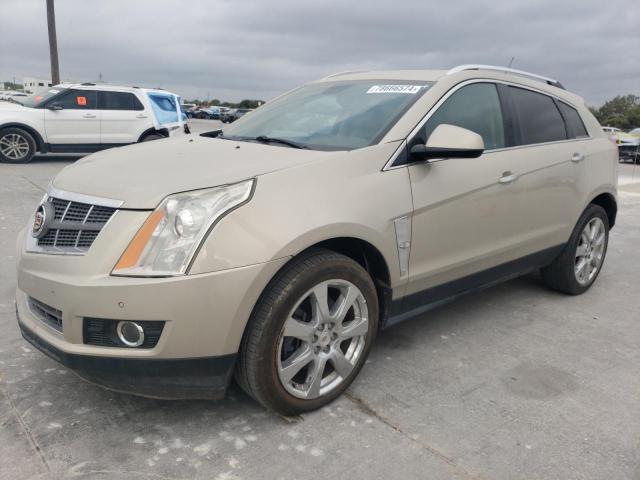 CADILLAC SRX PERFOR 2012 with VIN 3GYFNBE31CS556321 - Photo from auction