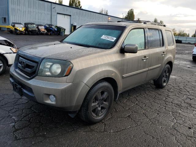 HONDA PILOT EXL 2010 with VIN 5FNYF4H50AB021572 - Photo from auction