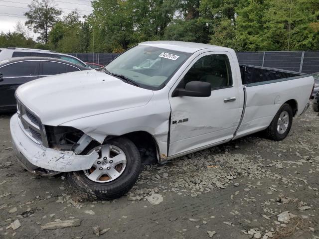 DODGE RAM 1500 2010 with VIN 3D7JB1EP5AG103041 - Photo from auction