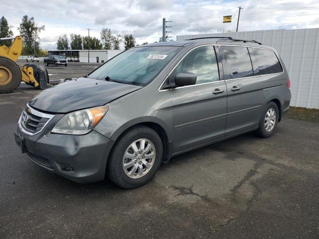 HONDA ODYSSEY EX 2008 with VIN 5FNRL38428B057207 - Photo from auction