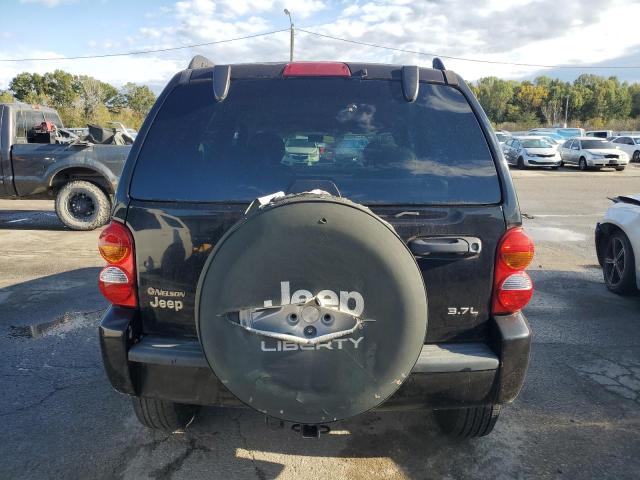 Photo 6 from auction – 2002 JEEP LIBERTY LI with VIN 1J4GL58K12W179250