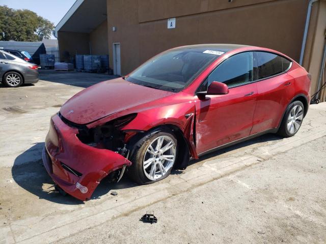 TESLA MODEL Y 2024 with VIN 7SAYGDEE5RF025312 - Photo from auction
