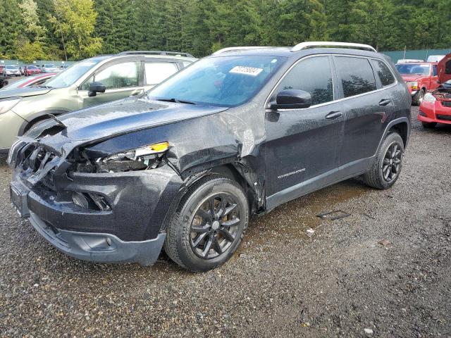 JEEP CHEROKEE L 2016 with VIN 1C4PJLCB9GW238186 - Photo from auction