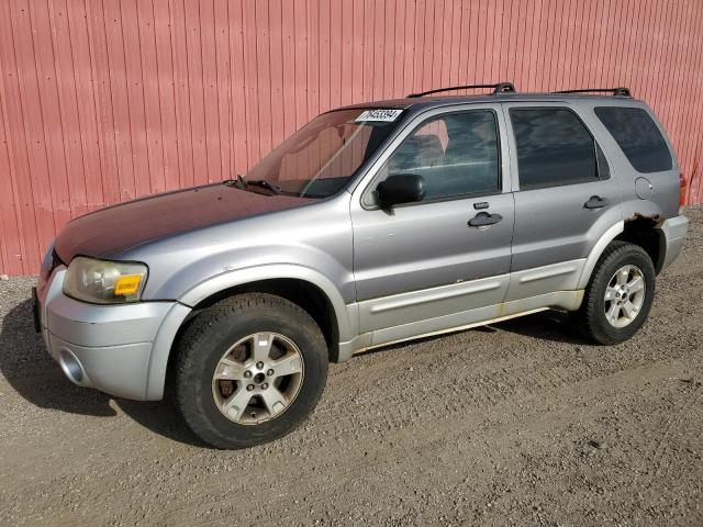 FORD ESCAPE XLT 2007 with VIN 1FMYU93187KA81467 - Photo from auction