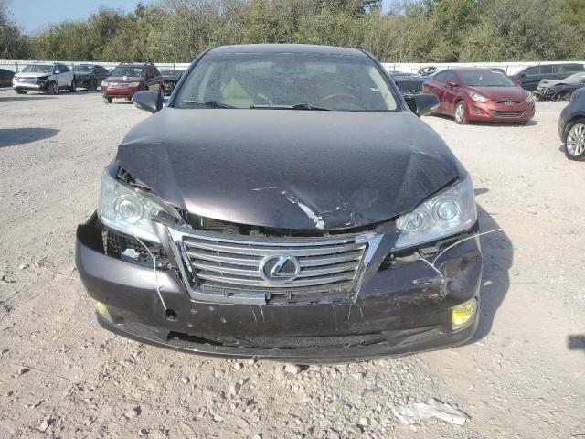 Photo 5 from auction – 2010 LEXUS ES 350 with VIN JTHBK1EG7A2353113