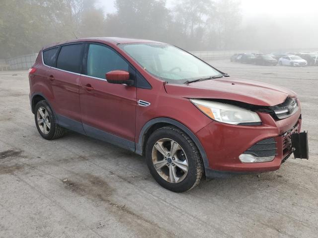 Photo 4 from auction – 2014 FORD ESCAPE SE with VIN 1FMCU0GX3EUE21078