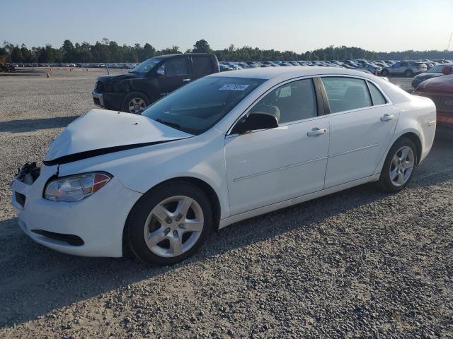 CHEVROLET MALIBU LS 2012 with VIN 1G1ZA5EU6CF392487 - Photo from auction