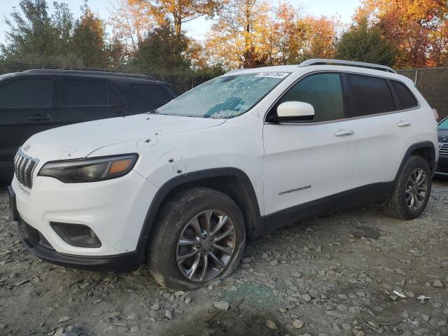 JEEP CHEROKEE L 2019 with VIN 1C4PJMLB4KD181339 - Photo from auction