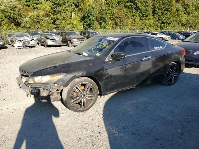 HONDA ACCORD EXL 2011 with VIN 1HGCS2B85BA005022 - Photo from auction