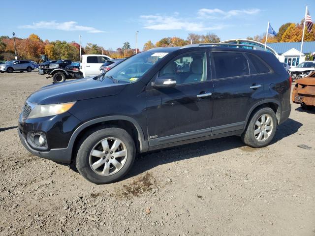 KIA SORENTO BA 2011 with VIN 5XYKTDA12BG028233 - Photo from auction