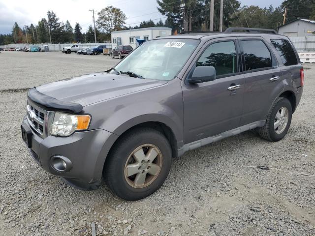 Photo 1 from auction – 2009 FORD ESCAPE XLT with VIN 1FMCU93GX9KC46064