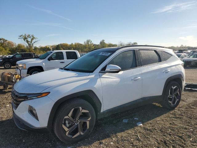 HYUNDAI TUCSON LIM 2022 with VIN KM8JECA13NU083420 - Photo from auction