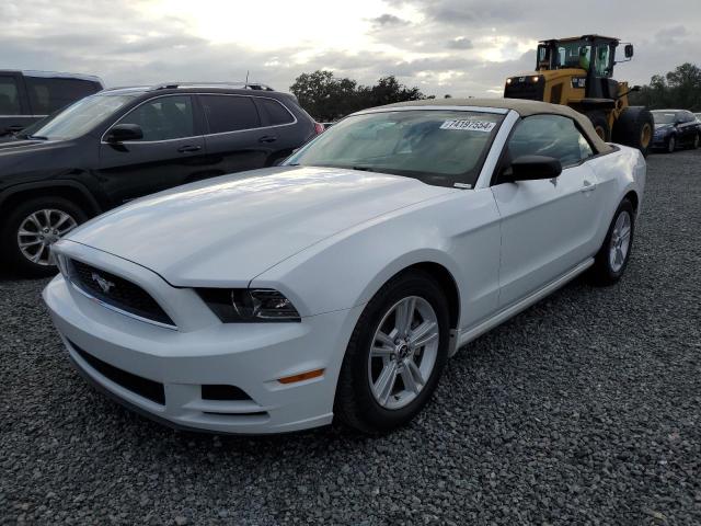 Photo 1 from auction – 2014 FORD MUSTANG with VIN 1ZVBP8EM2E5283166