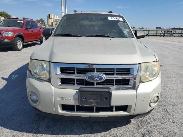 Photo 5 from auction – 2009 FORD ESCAPE XLT with VIN 1FMCU03G89KA65329