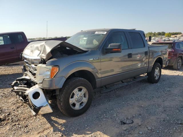 FORD F150 SUPER 2010 with VIN 1FTFW1EV7AFB61981 - Photo from auction
