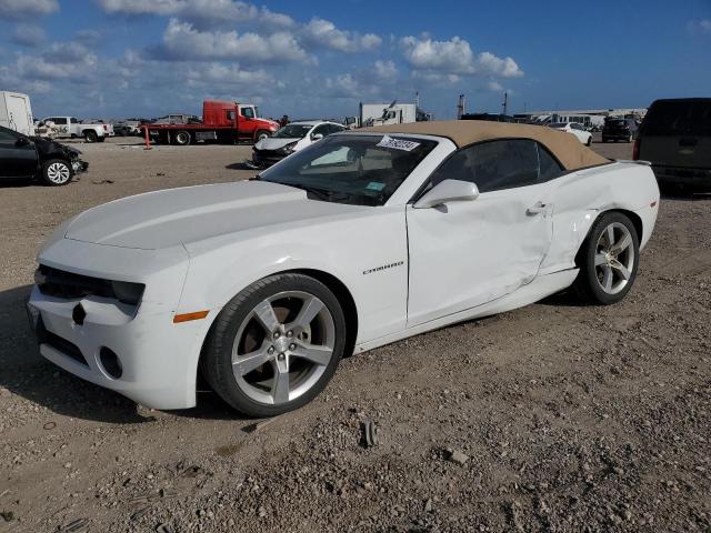 CHEVROLET CAMARO LT 2013 with VIN 2G1FB3D31D9217362 - Photo from auction