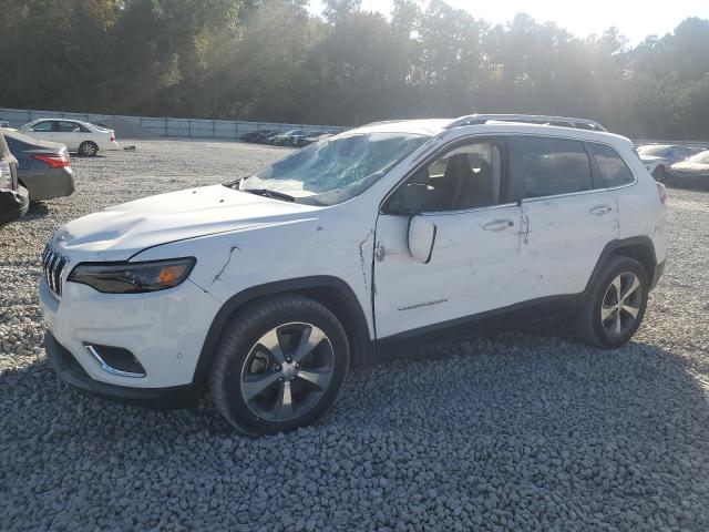JEEP CHEROKEE L 2019 with VIN 1C4PJLDB5KD129369 - Photo from auction