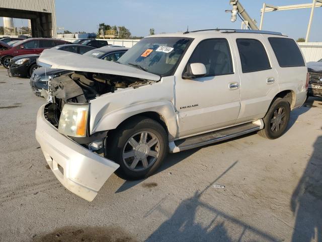 CADILLAC ESCALADE L 2002 with VIN 1GYEC63T42R320338 - Photo from auction