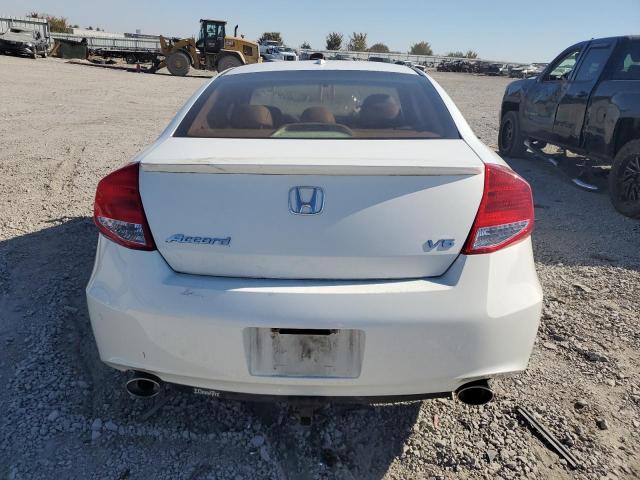 Photo 6 from auction – 2011 HONDA ACCORD EXL with VIN 1HGCS2B87BA006317