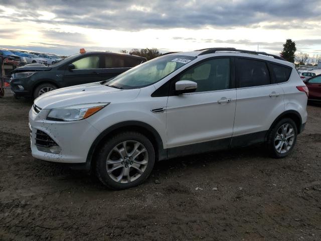 FORD ESCAPE SEL 2013 with VIN 1FMCU0H91DUA00944 - Photo from auction