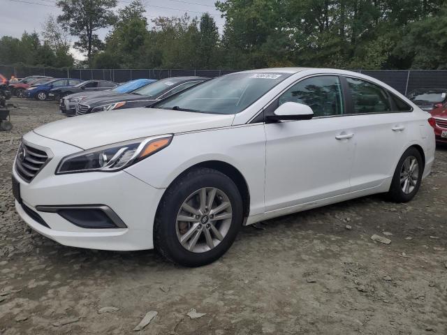 HYUNDAI SONATA SE 2017 with VIN 5NPE24AF9HH488261 - Photo from auction