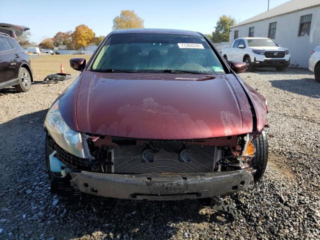 Photo 5 from auction – 2009 HONDA ACCORD LXP with VIN JHMCP26469C017846