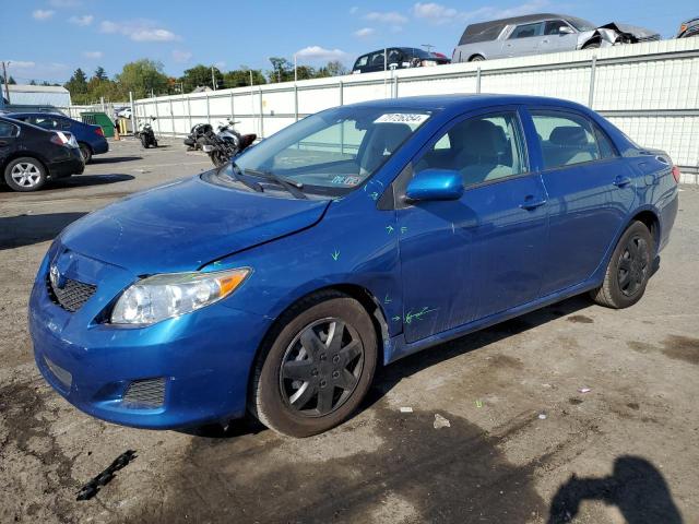 TOYOTA COROLLA BA 2010 with VIN 2T1BU4EE5AC242881 - Photo from auction