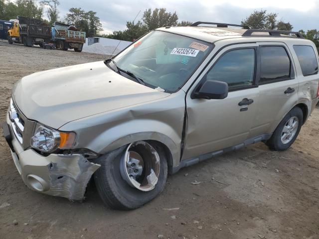 FORD ESCAPE XLT 2010 with VIN 1FMCU9D79AKD24076 - Photo from auction