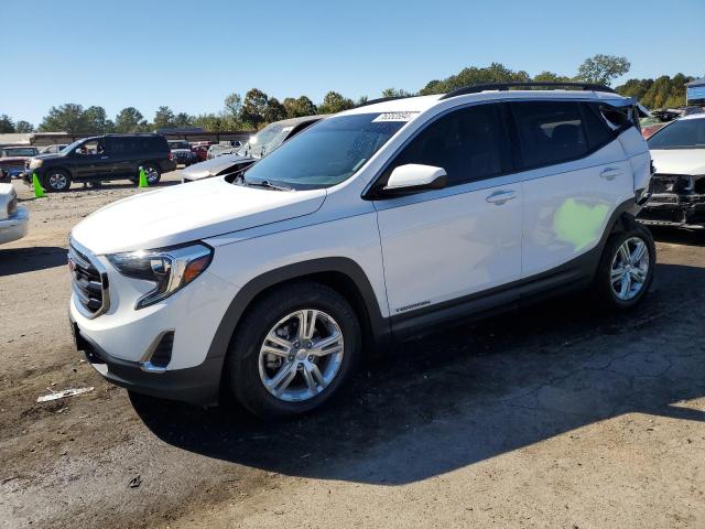 GMC TERRAIN SL 2019 with VIN 3GKALMEV5KL137582 - Photo from auction