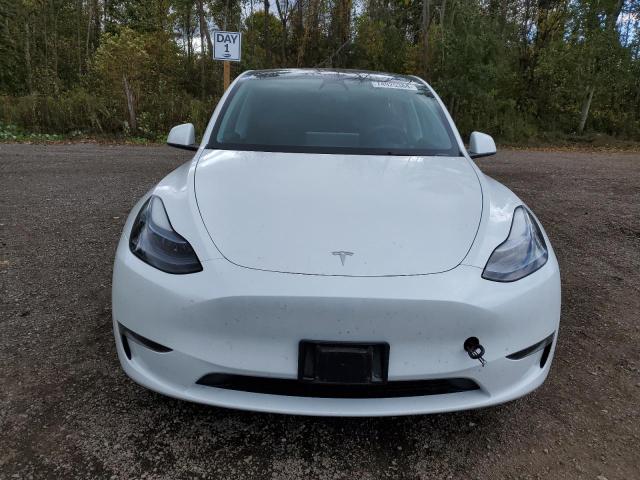 Photo 5 from auction – 2023 TESLA MODEL Y with VIN LRWYGDFD5PC967631
