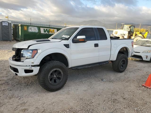 FORD F150 SUPER 2010 with VIN 1FTEX1E69AFB99021 - Photo from auction