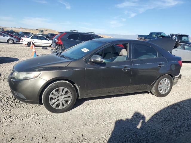 KIA FORTE EX 2010 with VIN KNAFU4A29A5838924 - Photo from auction