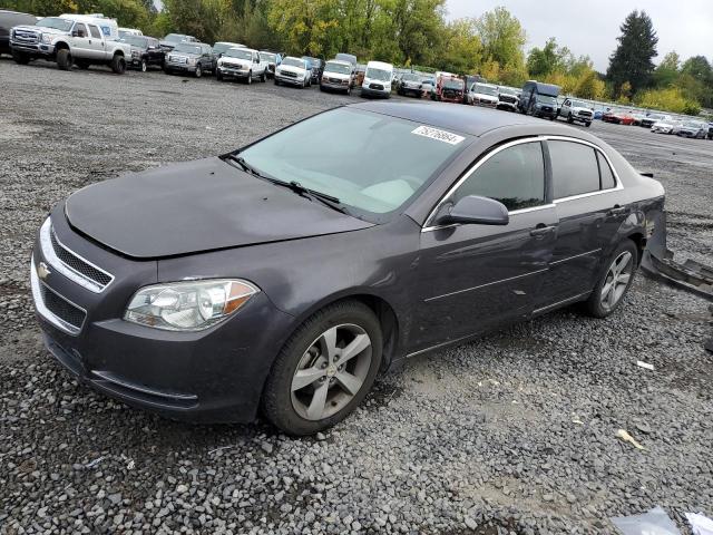 CHEVROLET MALIBU 1LT 2011 with VIN 1G1ZC5E19BF300691 - Photo from auction