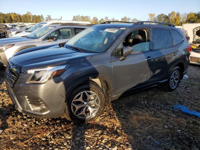SUBARU FORESTER P 2024 with VIN JF2SKADC2RH437527 - Photo from auction