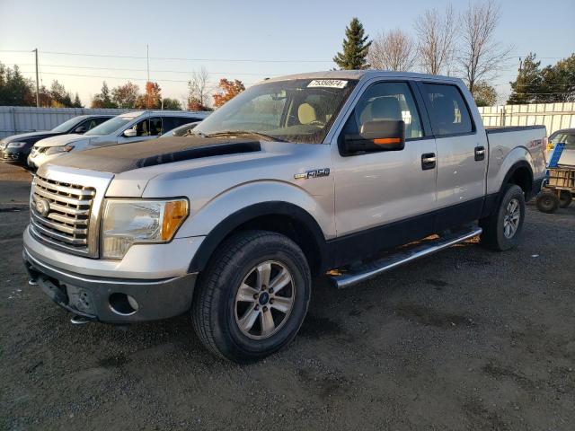 FORD F150 SUPER 2010 with VIN 1FTFW1EV0AFD21487 - Photo from auction