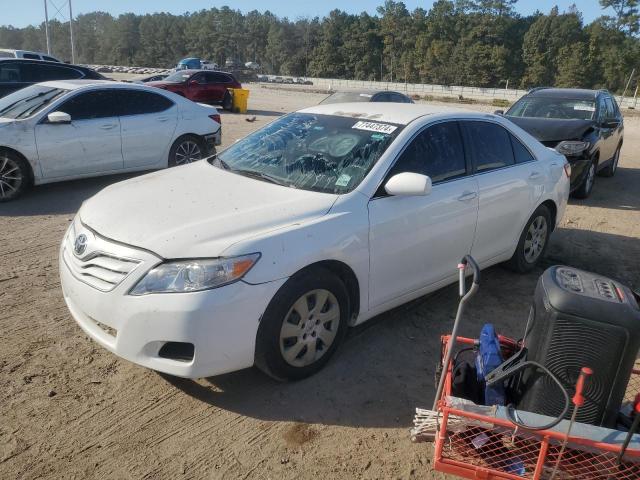 TOYOTA CAMRY BASE 2010 with VIN JTNBF3EK7A3001239 - Photo from auction