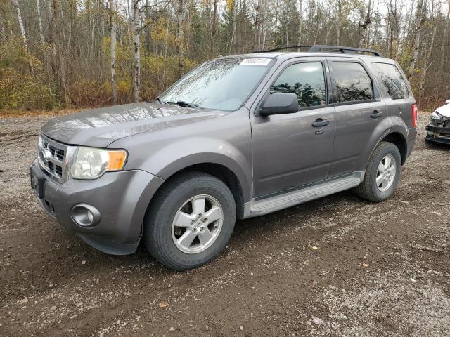 FORD ESCAPE XLT 2009 with VIN 1FMCU03759KB91163 - Photo from auction