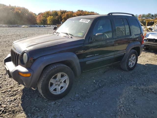 Photo 1 from auction – 2003 JEEP LIBERTY with VIN 1J4GL48K33W729978