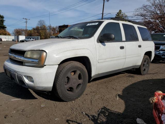 CHEVROLET TRAILBLAZE 2006 with VIN 1GNET16S166149168 - Photo from auction