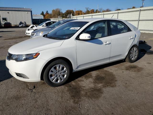 KIA FORTE EX 2010 with VIN KNAFU4A29A5812372 - Photo from auction