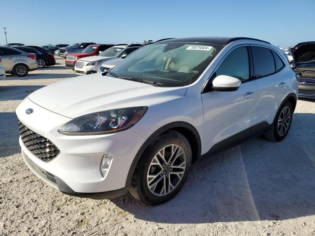FORD ESCAPE SEL 2020 with VIN 1FMCU0H66LUA35564 - Photo from auction